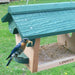 Bluebird Feeders