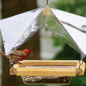 Crystal Clear Covered Bird Feeder 4 Cup Capacity 12 IN x 12 IN x 9 IN