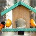 Oriole Fruit & Jelly Feeders