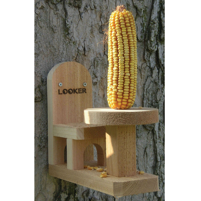Table and Chair Squirrel Feeder 5 IN x 9.5 IN x 8.5 IN