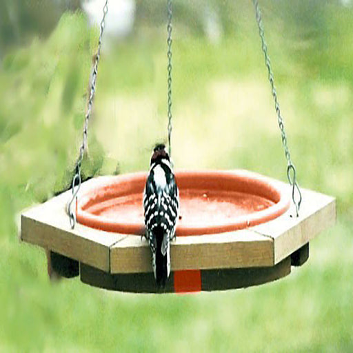 Hanging Bird Bath  Shop Our Selection of Outdoor Hanging Bird Baths Online  - Birdertown