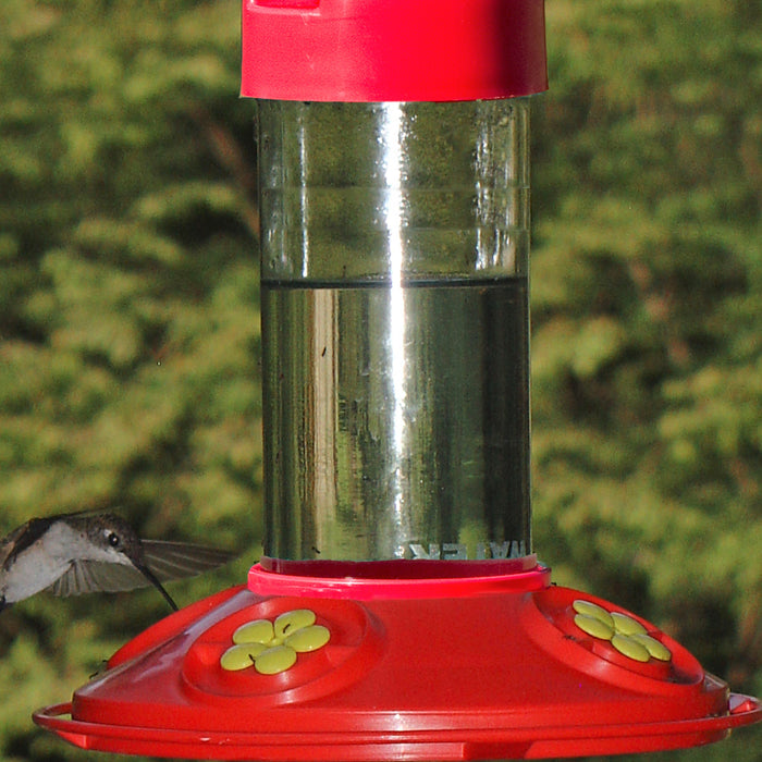 16 OZ All Red With Yellow Flowers Clean Hummingbird Feeder