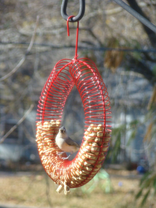 Red Whole Peanut Wreath Ring 13 IN