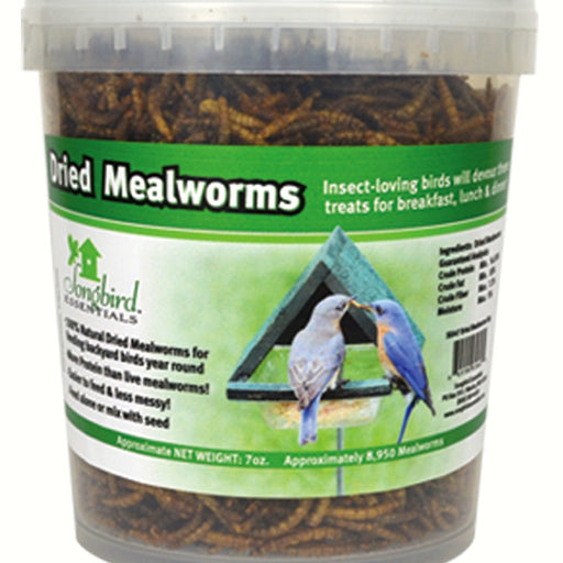 Tub of Dried Mealworms 16 OZ