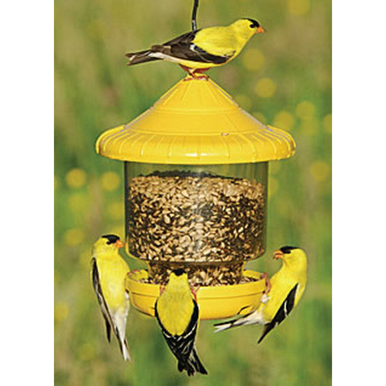 Wild Bird Feeders Shop The Best Bird Feeders & Decorative Bird