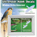 Hawk Transparent Window Alert Decals Pack of 2 