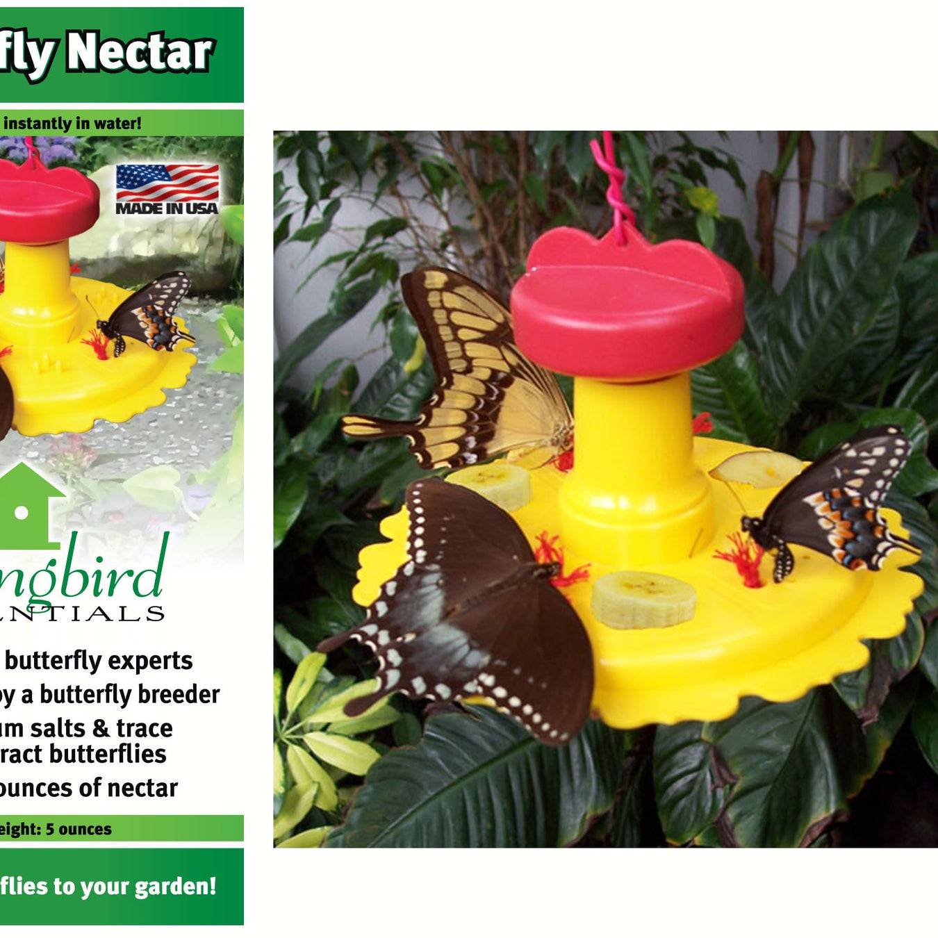 Butterfly Feeders