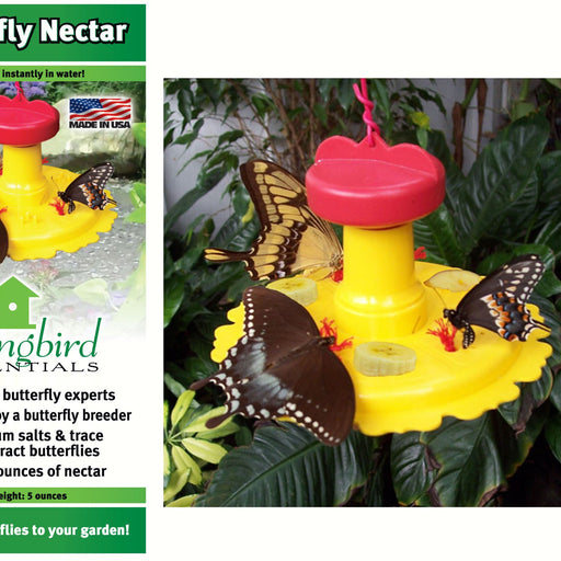 Butterfly Feeder With Nectar 6 OZ Capacity