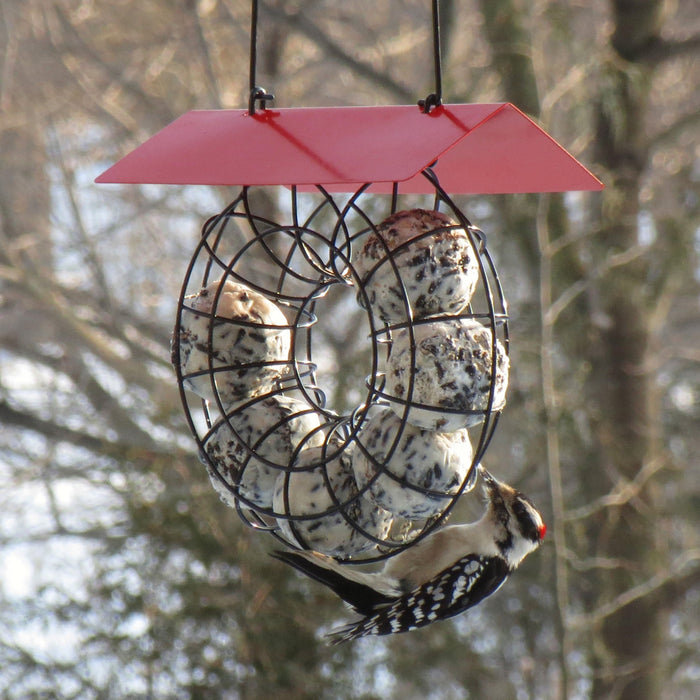 Red Roof Suet And Seed Ball Feeder 6 Ball 8 IN