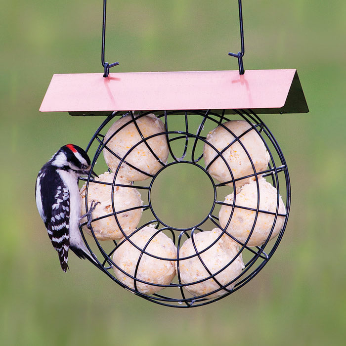 8 IN 6 Ball Copper Roof Suet And Seed Ball Feeder