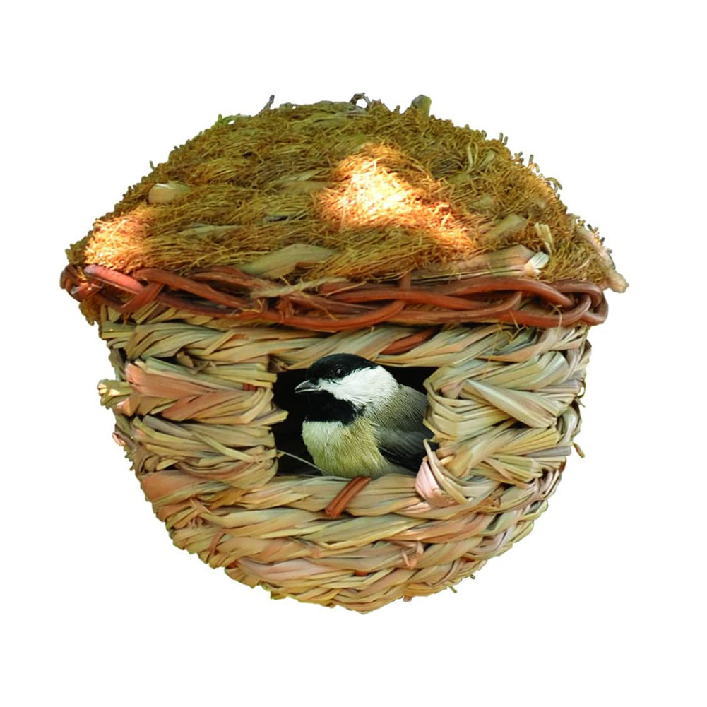 Bird Nesting & Roosting