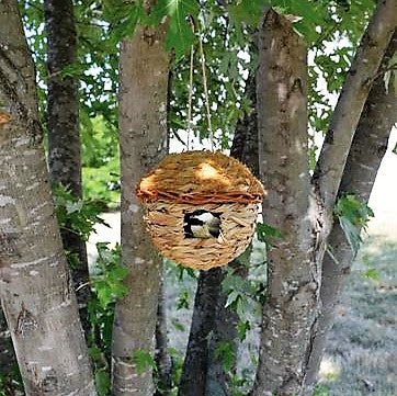 Round Hanging Grass Roosting Pocket 6 IN x 5 IN x 6 IN