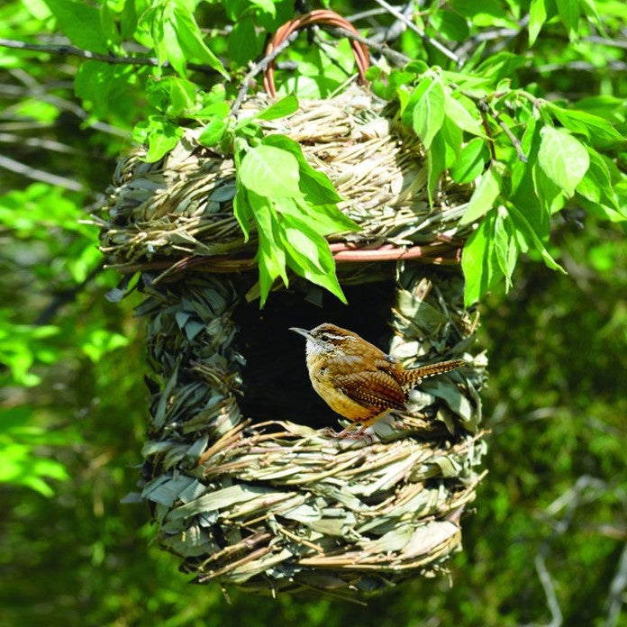 100 Percent Organic Acorn Hanging Roosting Birdhouse