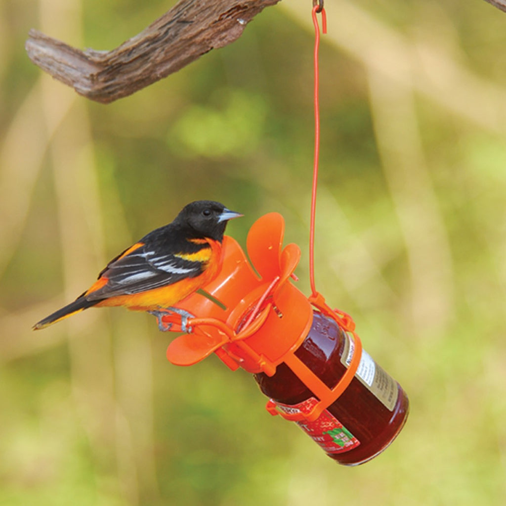 Wild Bird Feeders Shop The Best Bird Feeders & Decorative Bird