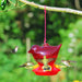 Hummingbird Feeders