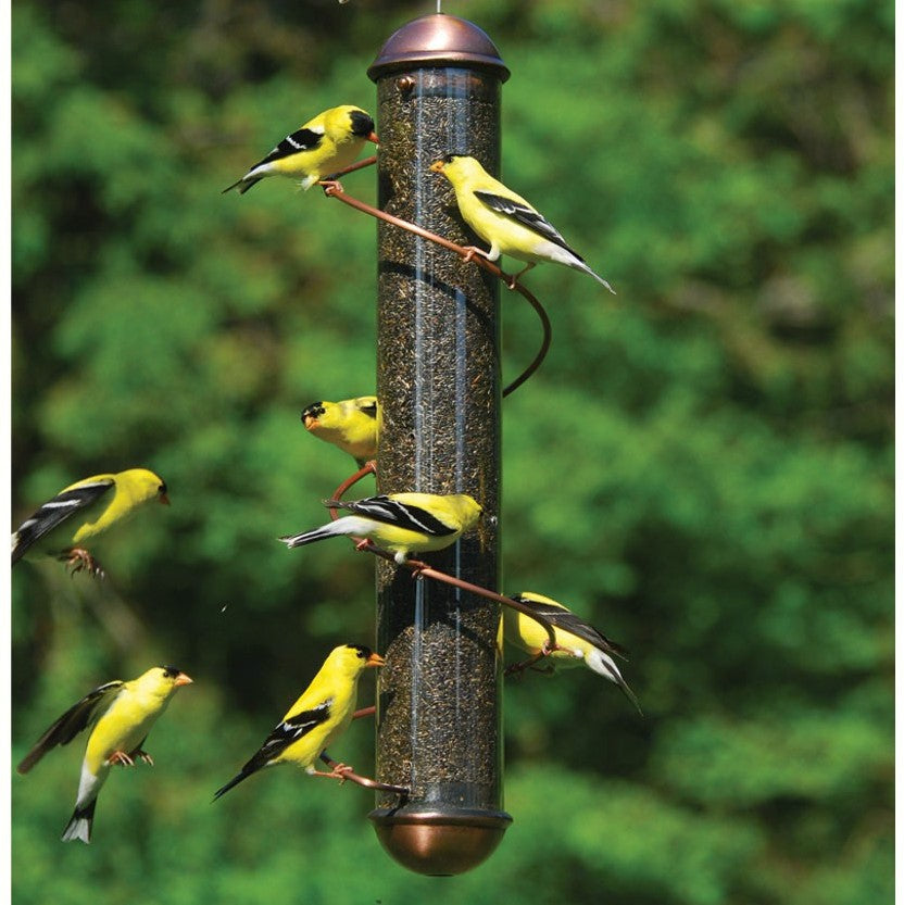 Finch Feeders