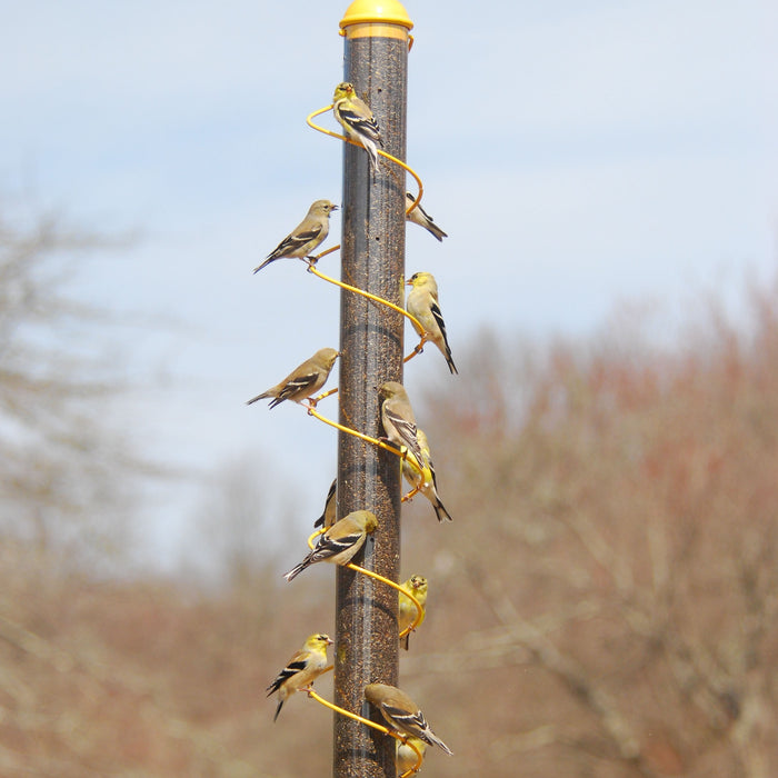 36 IN Yellow Spiral Finch Tube Bird Feeder