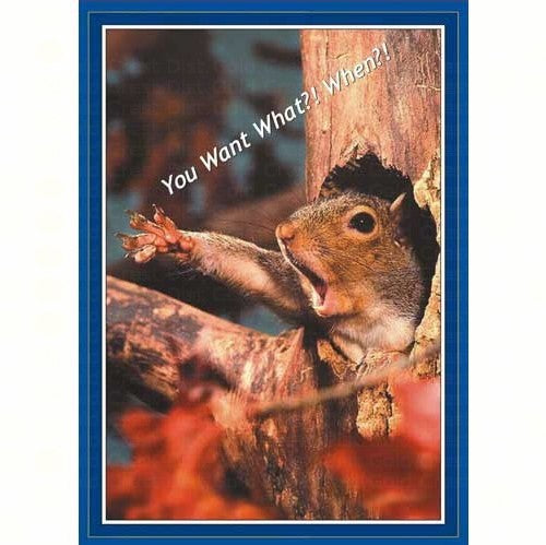 500 Piece You Want What When? Squirrel Puzzle