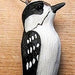 Poly-resin Downy Woodpecker Ornament