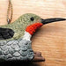 Poly-resin Hummingbird and Nest Ornament