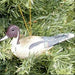 Poly-resin Pintail Decoy Ornament
