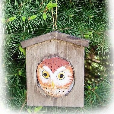 Poly-resin Owl House Ornament