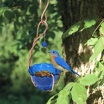 7.75 IN x 3.75 IN x 3.75 IN Hand Crafted Copper Blue Bluebird Hanging Mealworm Feeder