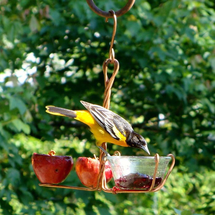 Fruit and Jelly Bird Feeder 4 IN x 8.5 IN x 12 IN