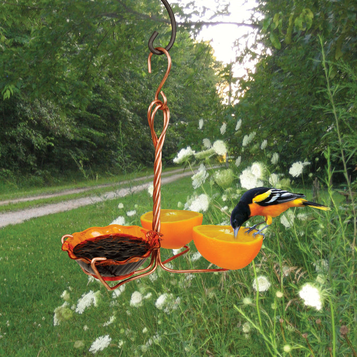 Single Cup Copper Oriole Fruit and Jelly Feeder