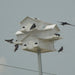 12 Lonestar Crescent Doors Goliad Modular Purple Martin House