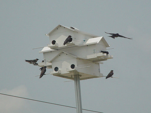 12 Round Lonestar Doors Goliad Modular Purple Martin House