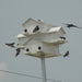 12 Round Lonestar Doors Goliad Modular Purple Martin House