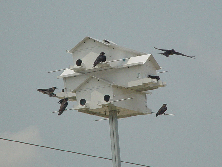 12 Round Lonestar Doors Goliad Modular Purple Martin House