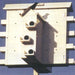 14 Round Lonestar Doors Alamo Purple Martin House