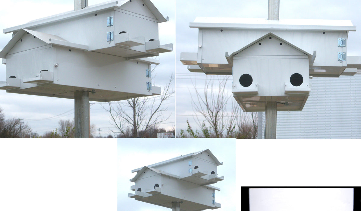 8 Crescent Lonestar Doors Goliad Jr Modular Purple Martin House