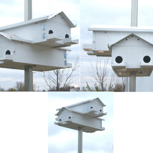 8 Round Lonestar Doors Goliad Jr Modular Purple Martin House