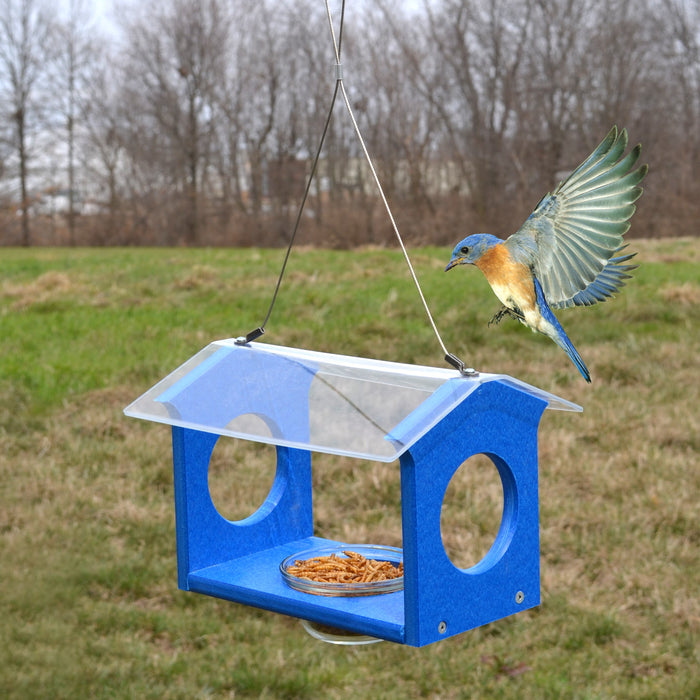 7.5 IN x 10 IN  x 17 IN Recycled Plastic Bluebird Canteen Bird Feeder