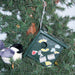 Eco Friendly Bird House Kit and Stuffed Audobon Bird 6 IN x 6 IN x 6 IN
