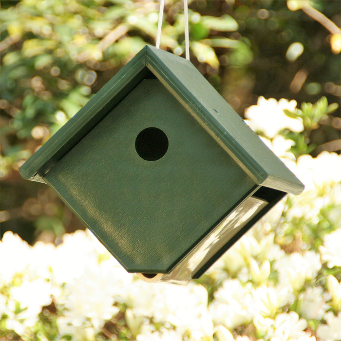 Hunter Green Recycled Plastic Hanging Wren House 8.25 IN x 6 IN x 7.5 IN