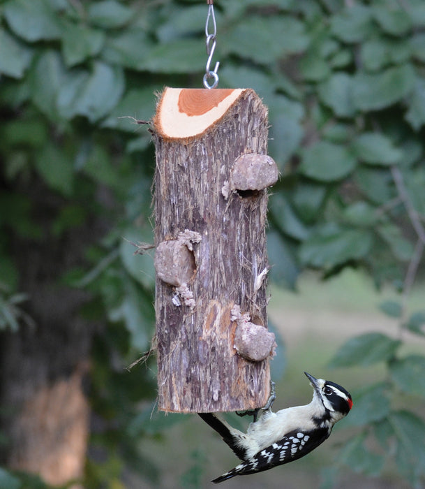 13 IN 3 Plug Suet Log Without Perches