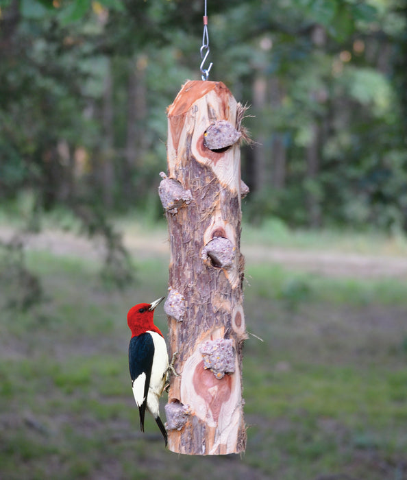 Suet Log Without Perches 6 Plug 20 IN