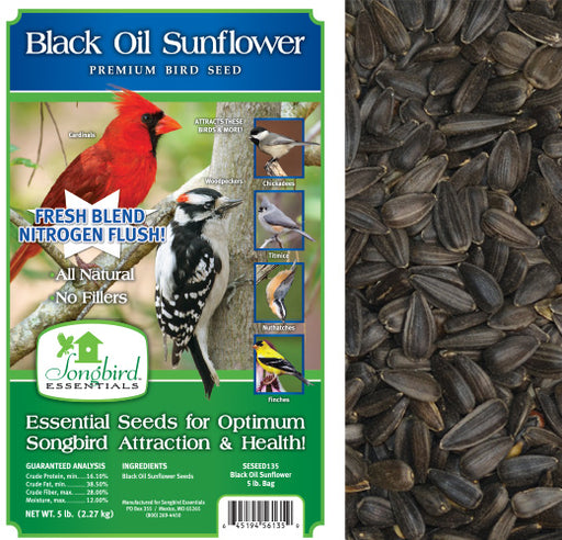 Songbird Royal Black Oil Sunflower Seed 5 LB