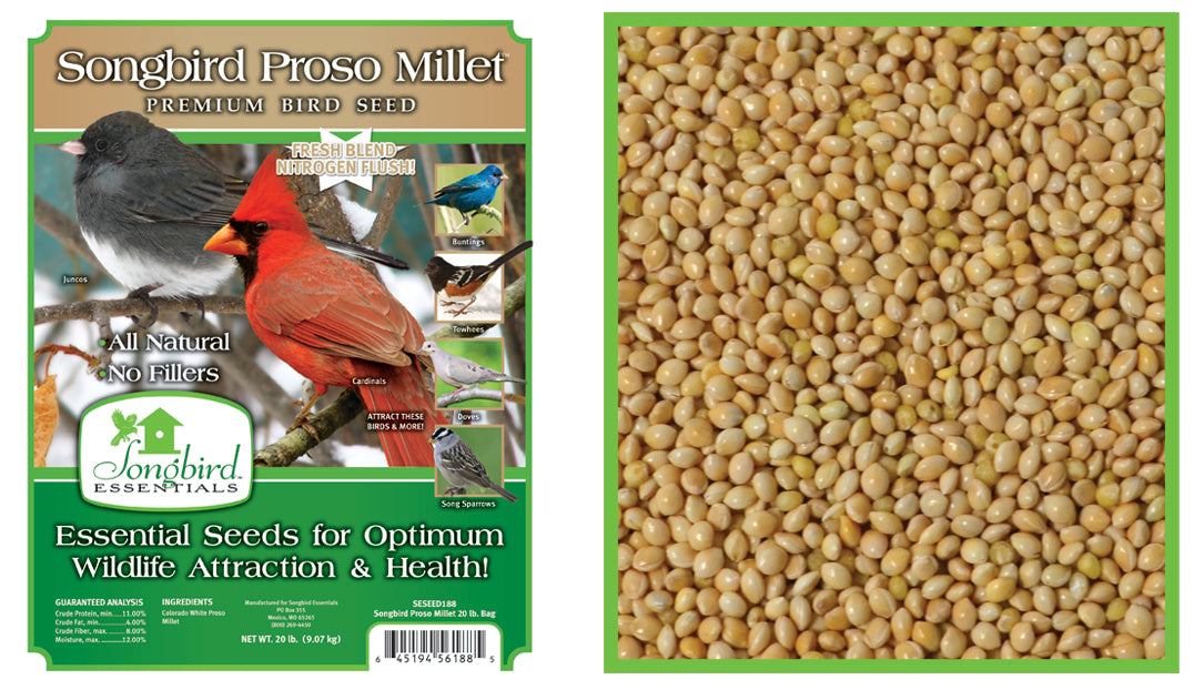 Songbird PROSO MILLET 5 LB