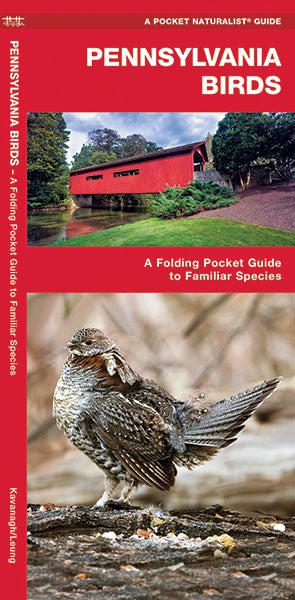 Pennsylvania Birds Pocket Guide