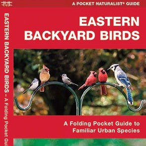 Eastern Backyard Birds Pocket Guide