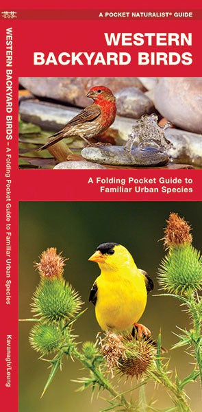 Western Backyard Birds Pocket Guide