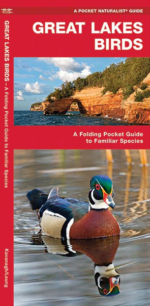 Great Lakes Birds Pocket Guide