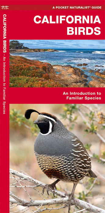 California Birds Pocket Guide