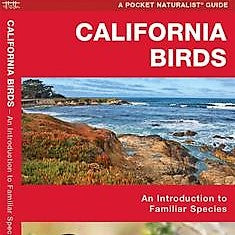 California Birds Pocket Guide
