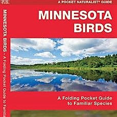 Minnesota Birds Pocket Guide